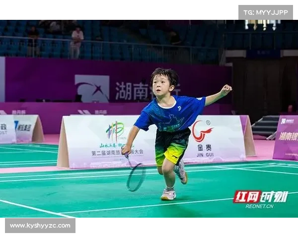2017羽林赛事;2017年羽毛球